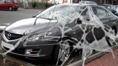 Petrol-loving spiders cause recall of Mazda6 in US
