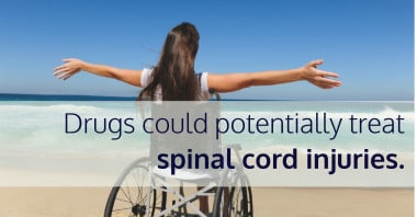 Drugs could potentially treat spinal cord injuries.