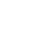 American College of Coverage Counsel Fellow